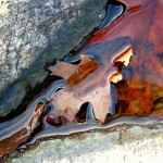 New England Nooks and Crannies