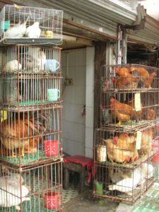 Qingping market in Guangzhou - photography by Jenny SW Lee