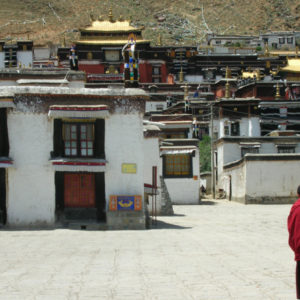 A monk on a stroll.