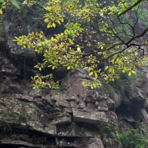 Zhangjiajie National Forest Park - photography by Jenny SW Lee