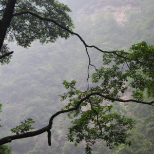 Zhangjiajie National Forest Park - photography by Jenny SW Lee