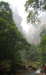 Zhangjiajie National Forest Park - photography by Jenny SW Lee