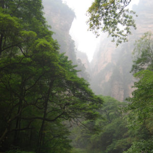 Zhangjiajie National Forest Park - photography by Jenny SW Lee