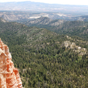 Bryce Canyon National Park, Utah - photography by Jenny SW Lee