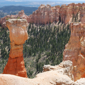 Bryce Canyon National Park, Utah - photography by Jenny SW Lee