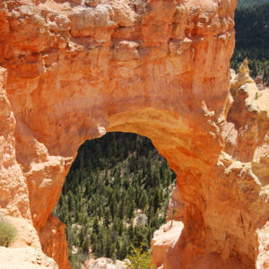 Bryce Canyon National Park, Utah - photography by Jenny SW Lee