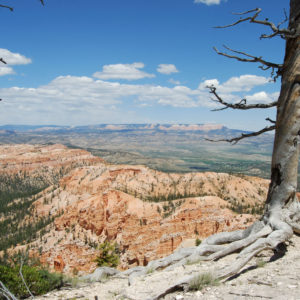 Bryce Canyon National Park, Utah - photography by Jenny SW Lee