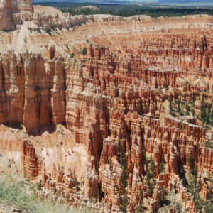 Bryce Canyon National Park, Utah - photography by Jenny SW Lee