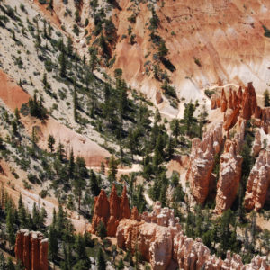 Bryce Canyon National Park, Utah - photography by Jenny SW Lee