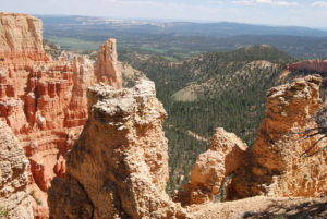 Bryce Canyon National Park, Utah - photography by Jenny SW Lee