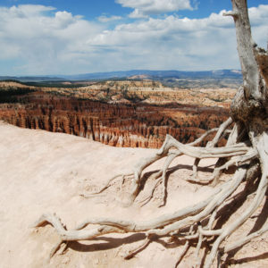 Bryce Canyon National Park, Utah - photography by Jenny SW Lee