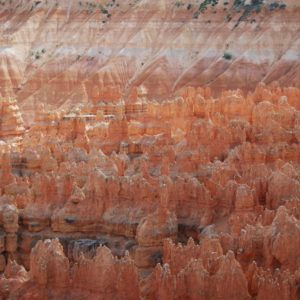 Bryce Canyon National Park, Utah - photography by Jenny SW Lee