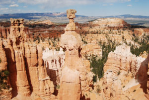 Bryce Canyon National Park, Utah - photography by Jenny SW Lee