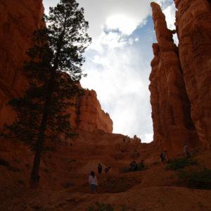 Bryce Canyon National Park, Utah - photography by Jenny SW Lee