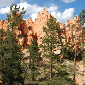 Bryce Canyon National Park, Utah - photography by Jenny SW Lee