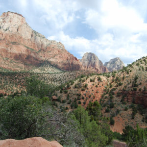 Zion National Park, Utah - photography by Jenny SW Lee