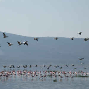 Narok Kenya - photography by Jenny SW Lee