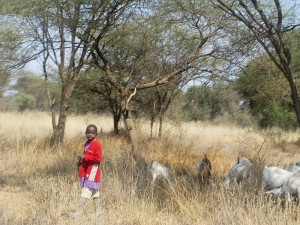 Kenya - photography by Jenny SW Lee