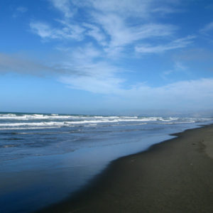 Shores of a Willowbank beach.