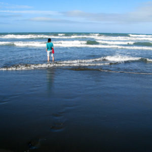 My fellow nature conservation volunteer wading in a Willowbank beach.