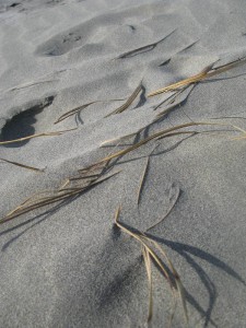 Willowbank beach - photography by Jenny SW Lee