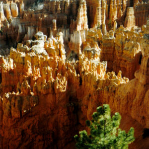 Bryce Canyon National Park, Utah - photography by Jenny SW Lee