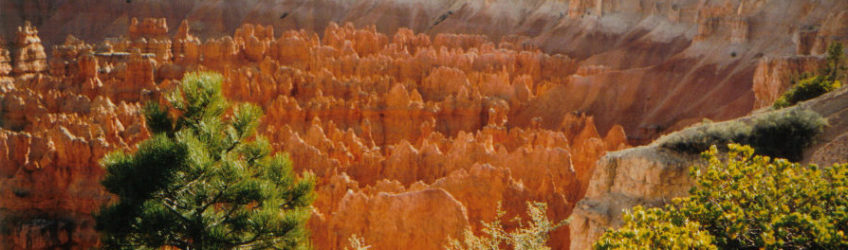 Bryce Amphitheater - Utah photography by Jenny SW Lee