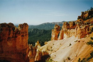 Bryce Canyon National Park, Utah - photography by Jenny SW Lee