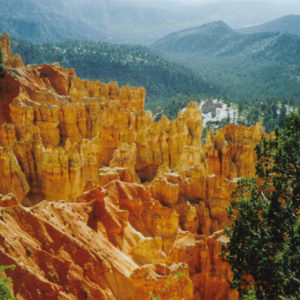 Bryce Canyon National Park, Utah - photography by Jenny SW Lee