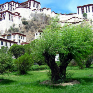 Potala Palace