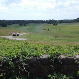 Golf Course, Franklin Park, MA