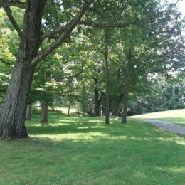 Franklin Park, MA | Photography by Jenny S.W. Lee