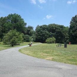 Franklin Park, MA | Photography by Jenny S.W. Lee