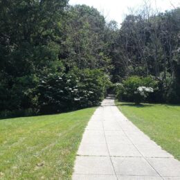 Franklin Park, MA | Photography by Jenny S.W. Lee