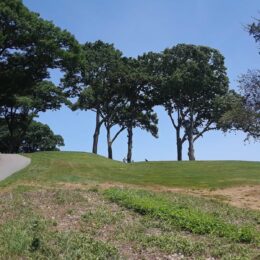 Franklin Park, MA | Photography by Jenny S.W. Lee
