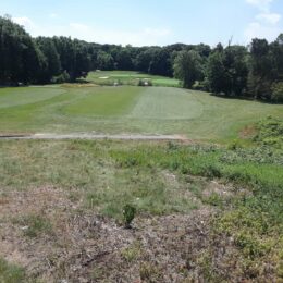 Golf Course, Franklin Park, MA | Photography by Jenny S.W. Lee