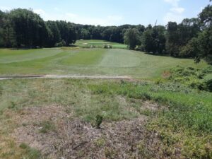 Golf Course, Franklin Park, MA | Photography by Jenny S.W. Lee