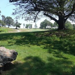 Franklin Park, MA | Photography by Jenny S.W. Lee