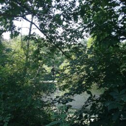 Franklin Park, MA | Photography by Jenny S.W. Lee
