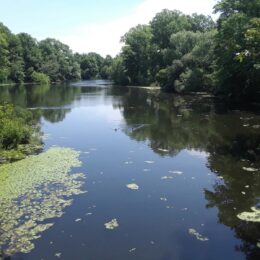 Scarboro Pond, Franklin Park, MA
