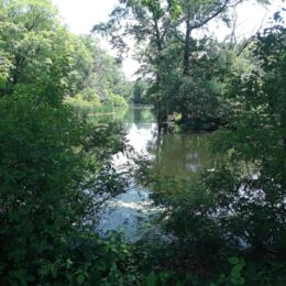 Scarboro Pond, Franklin Park, MA