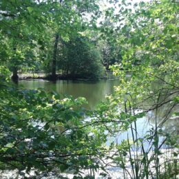 Scarboro Pond, Franklin Park, MA