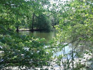 Scarboro Pond, Franklin Park, MA | Photography by Jenny S.W. Lee