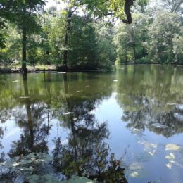 Scarboro Pond, Franklin Park, MA