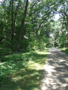 Franklin Park, MA | Photography by Jenny S.W. Lee