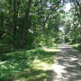 Franklin Park, MA | Photography by Jenny S.W. Lee