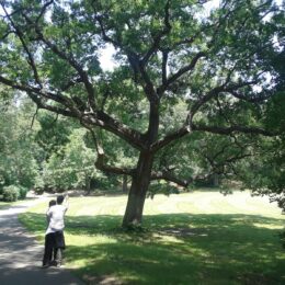 Franklin Park, MA | Photography by Jenny S.W. Lee