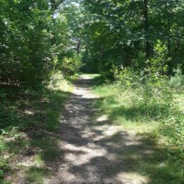 Franklin Park, MA | Photography by Jenny S.W. Lee