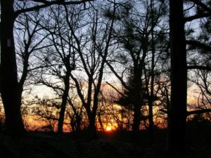 Middlesex Fells Reservation, MA | Photography by Jenny S.W. Lee