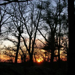 Middlesex Fells Reservation, MA | Photography by Jenny S.W. Lee